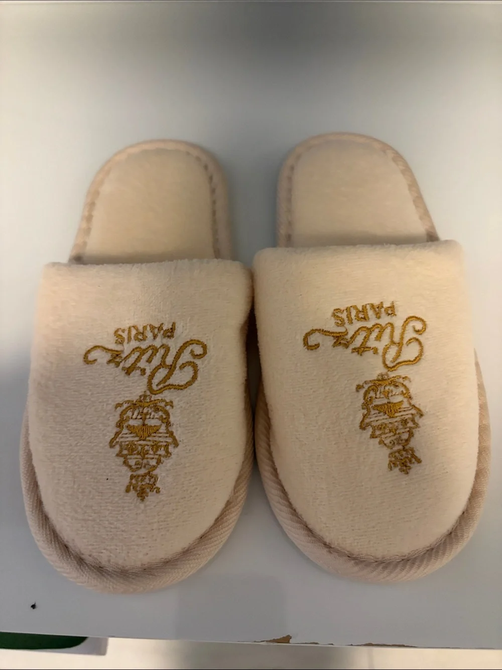 Ritz Paris Plush Kids Slippers in Light Beige with Gold Embroidery